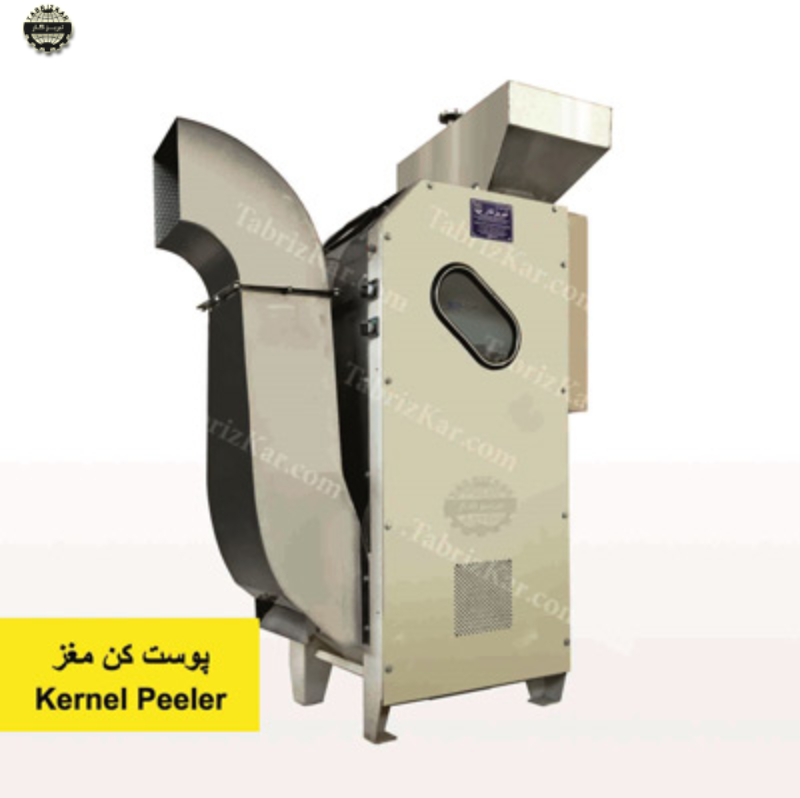 پوست گیر مغز